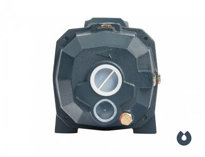 Поверхностный насос UNIPUMP DP 750